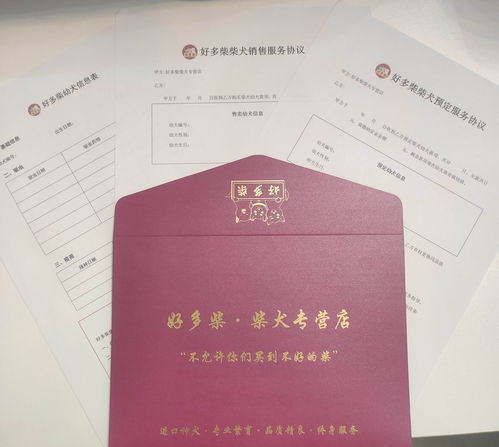 是否回收房产证怎么查