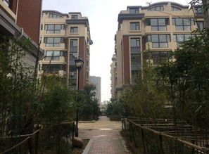 青岛佳城房产中介怎么样
