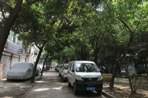 房产中介怎么交心