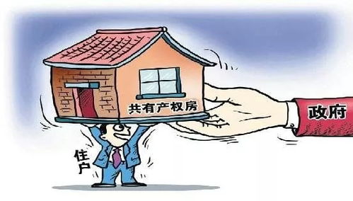 房产怎么画份额
