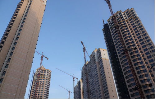 绍兴大陆房产公司怎么样