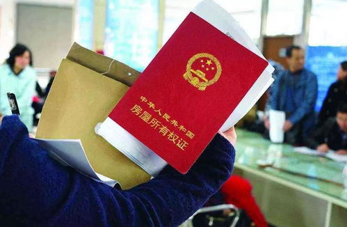 爱山东怎么查房产证
