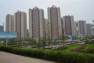 荣成的房产信息怎么查