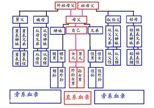 旁系亲属房产证怎么办