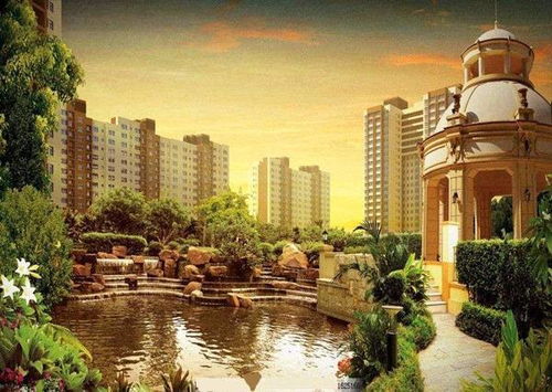 小镇怎么查房产信息