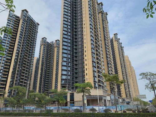 深圳怎么买低价房产
