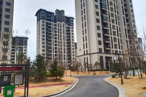 汶上做房产中介怎么样啊