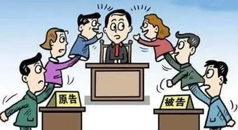 房产继承怎么打官司再审