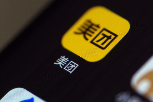 美团怎么查询房产