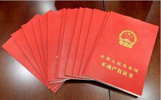 二手房怎么查房产证