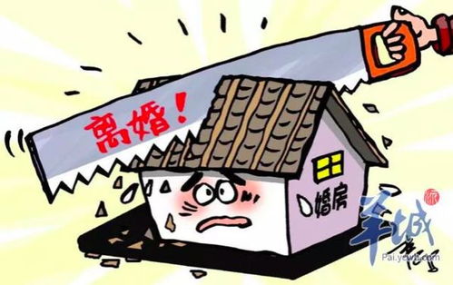 儿媳离婚房产怎么分配