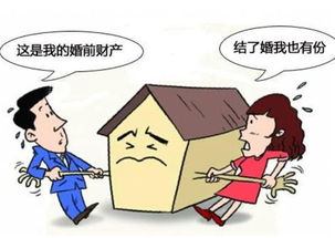儿媳离婚房产怎么分配