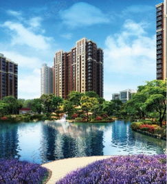 飞跃房产怎么样