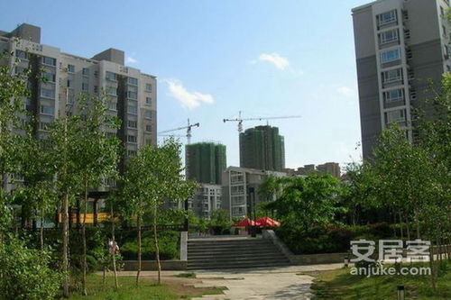 飞跃房产怎么样