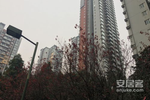 连赢房产怎么样