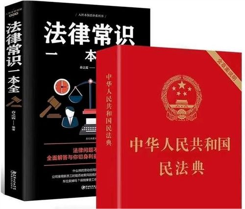 新的民法典房产怎么分配