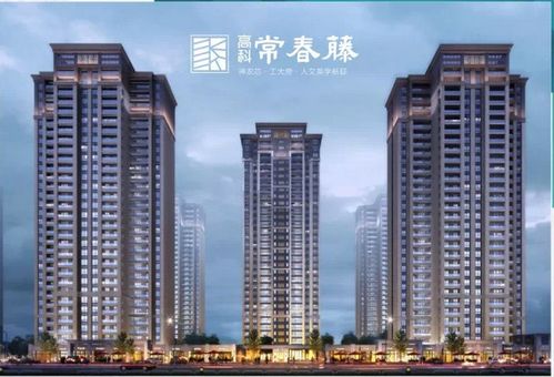 高科的房产怎么样