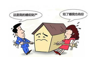 房产权怎么追回