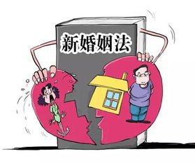 房产权怎么追回