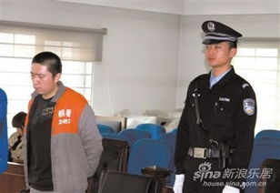 犯罪了房产怎么卖