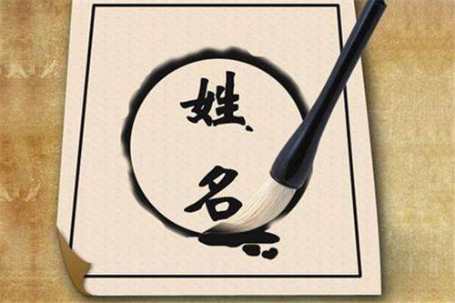 房产析产取名怎么取