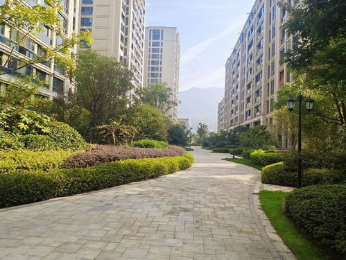 房产小区名怎么区分