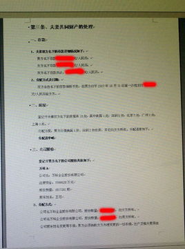 房产明细怎么写