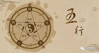 五行怎么选房产