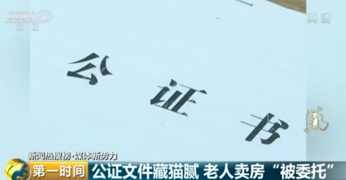 怎么查已转移房产