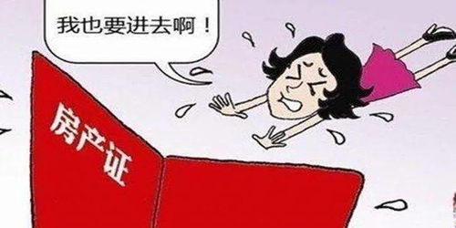 房产证的份额怎么办理