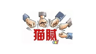 怎么区分招投标房产