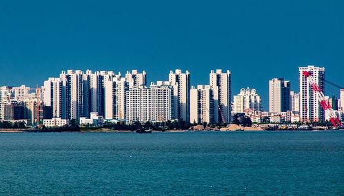 怎么在海南快速买房产