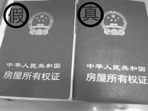 怎么在手机上看到房产证