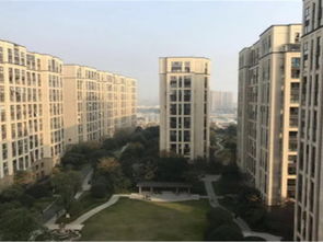 德信房产怎么样