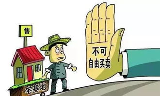 无法继承的房产怎么分户