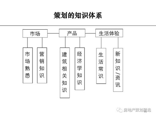 房产策划怎么入行的