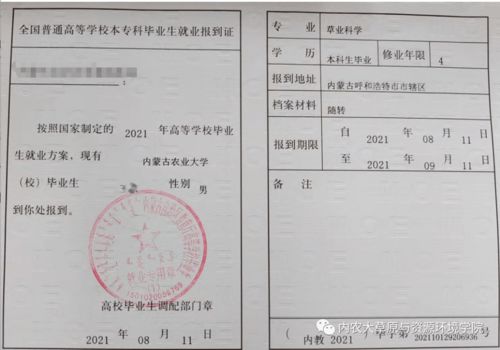 澧县房产证怎么办理网上