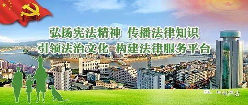 共有房产法院怎么执行