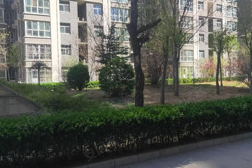 泰安瑞泰房产怎么样