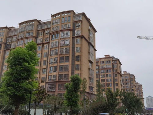 怎么泗洪房产