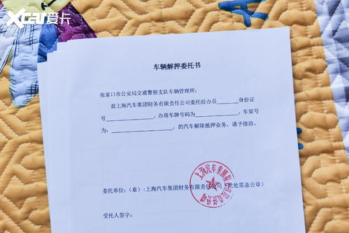 公司办房产委托书怎么写