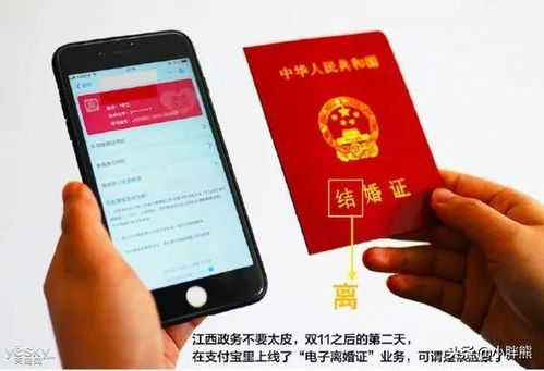 用支付宝怎么查房产证号