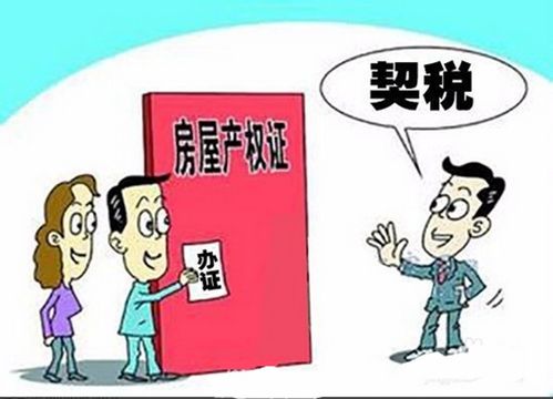 房产契税怎么填