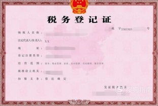 房产缴税税号怎么查