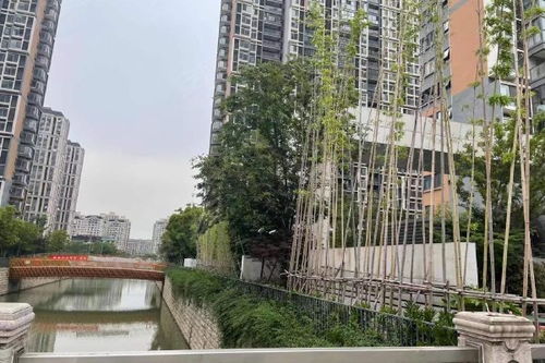 房产绿化怎么做