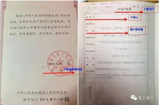 共有房产产权证号怎么填