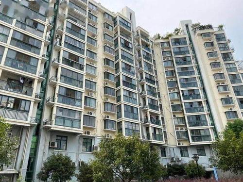 新昌阳光房产怎么样