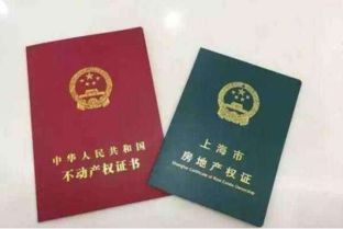 蓝本房产怎么买到