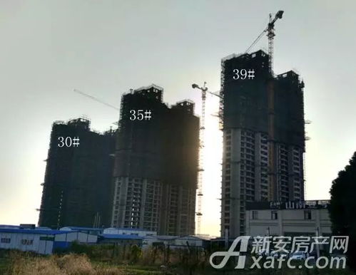 建家房产怎么样