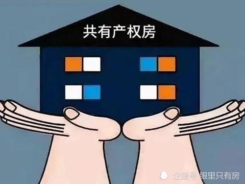买房产权怎么确定